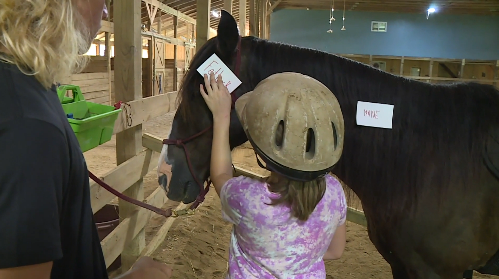How these students are learning through a saddle