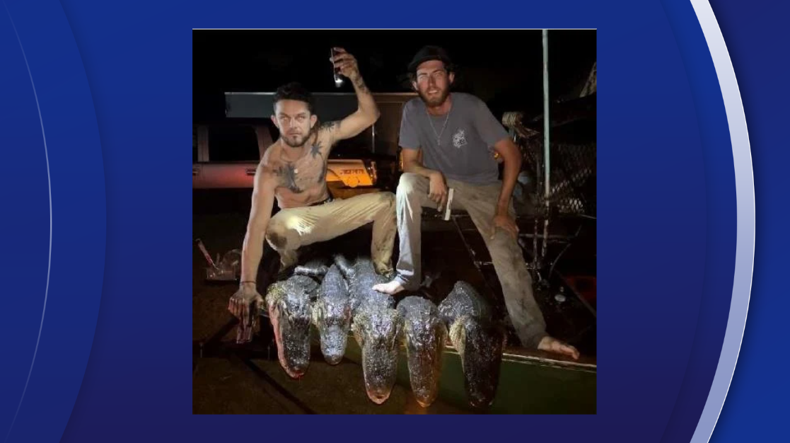 Tip leads to multiple arrests in Florida alligator poaching and processing operation 