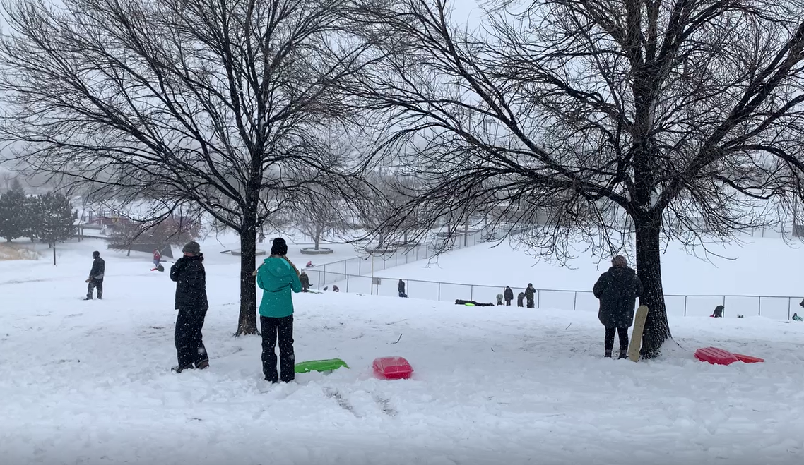 sledders sledding .png