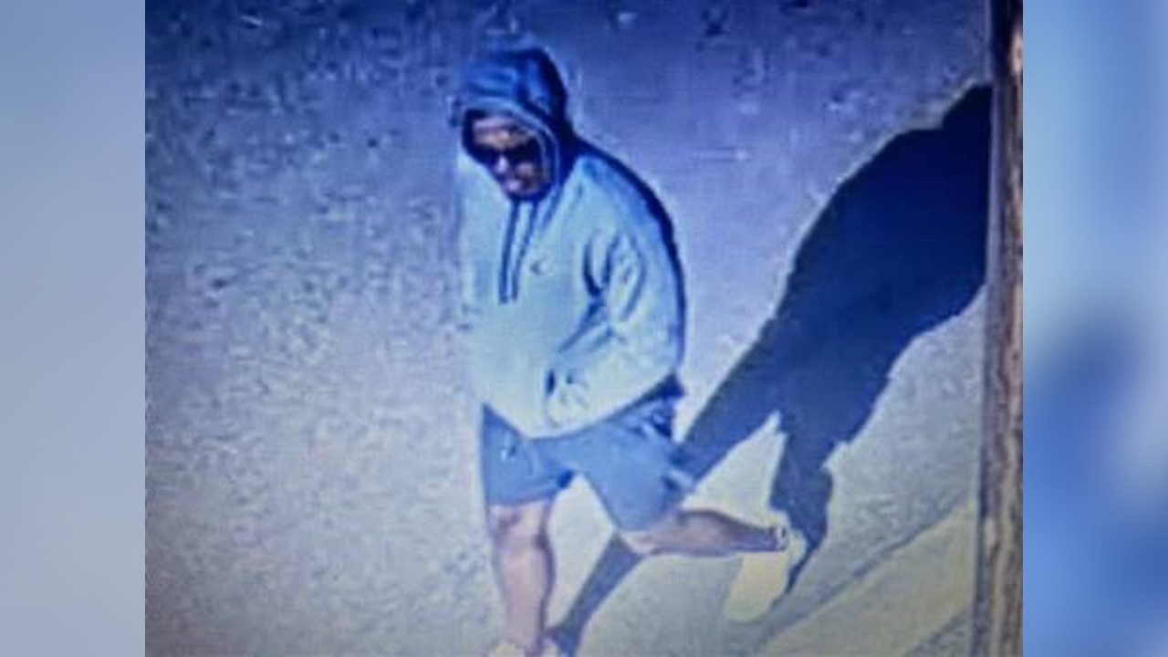 person of interest widefield shooting.jpg