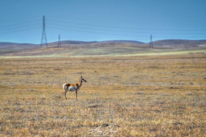 Dry SLO County interior