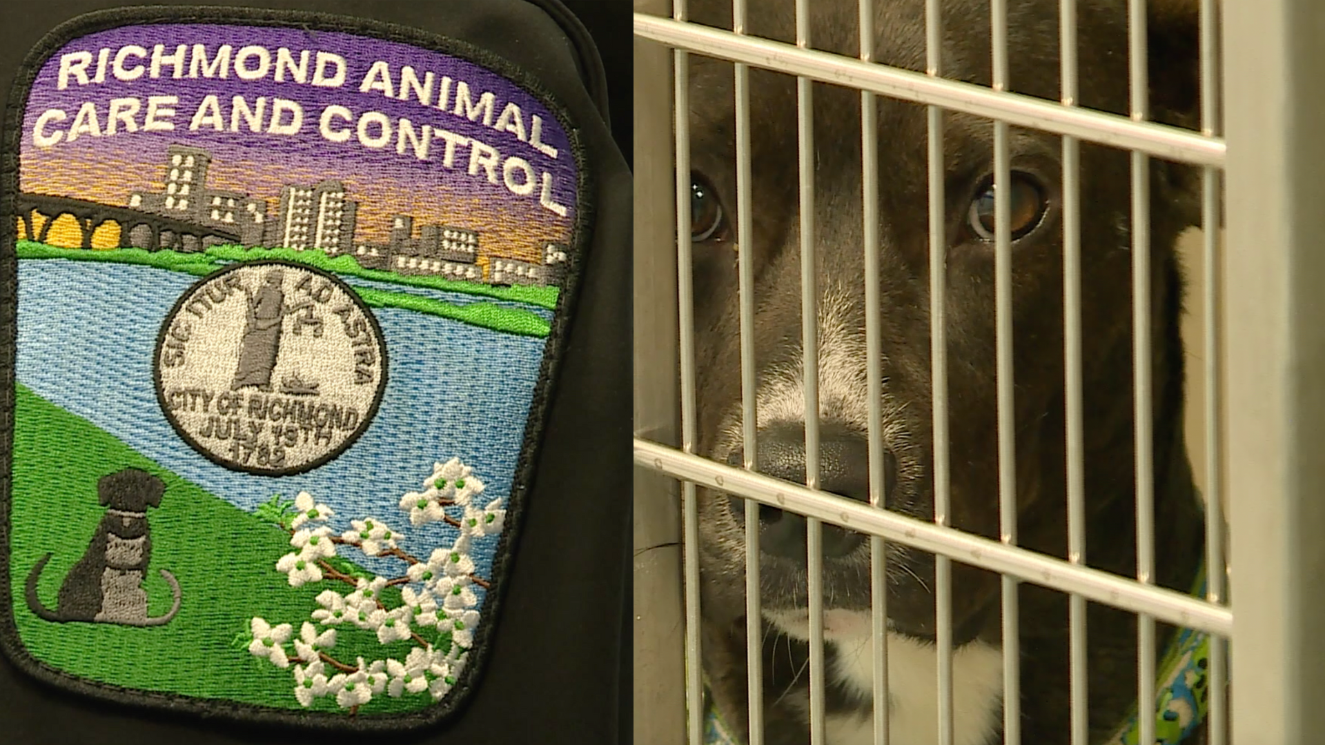 imani thumbnails (11).png