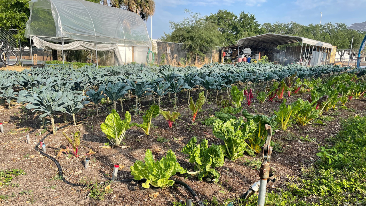 Meacham Urban Farm 2.png