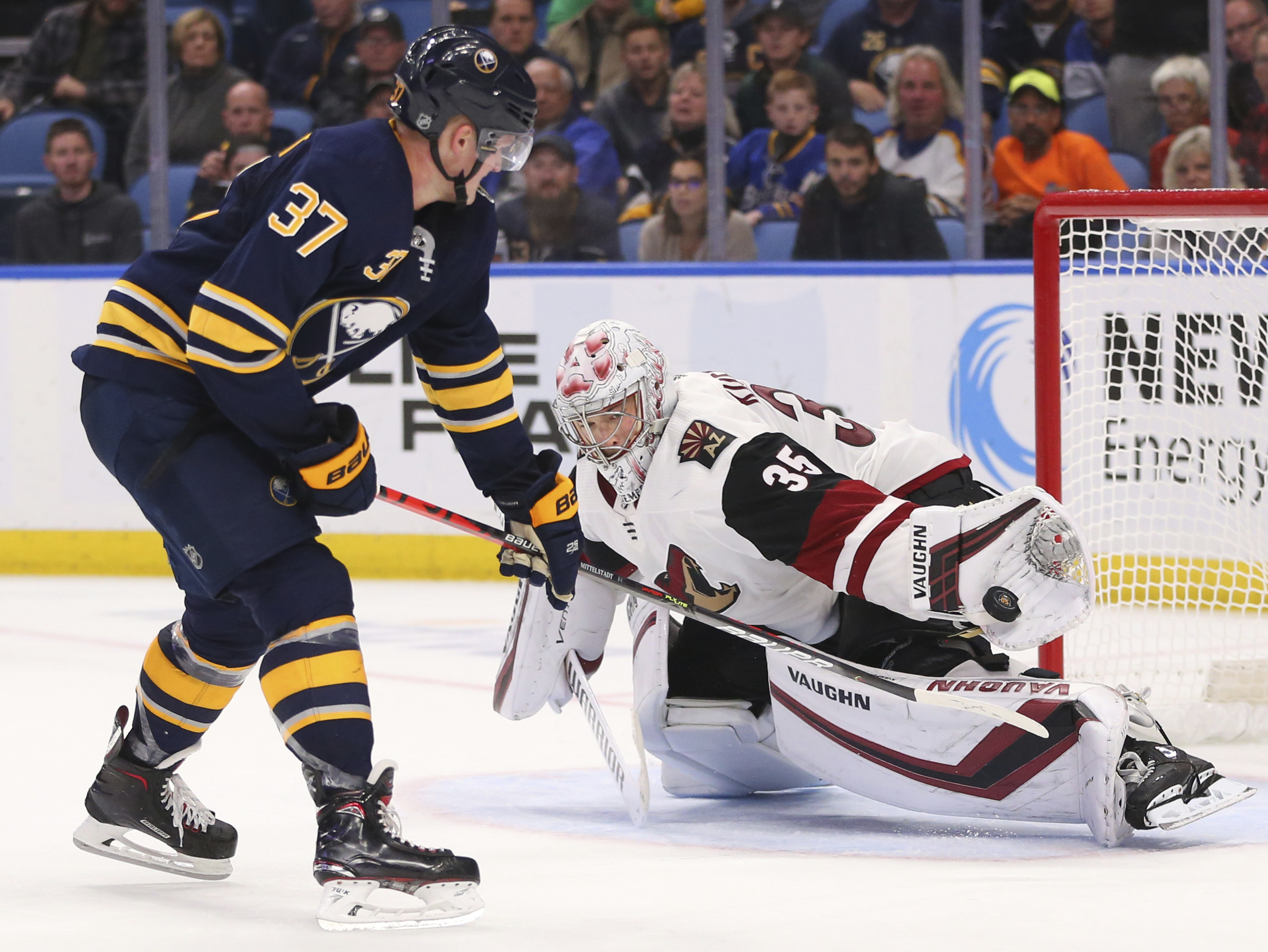 Coyotes Sabres Hockey