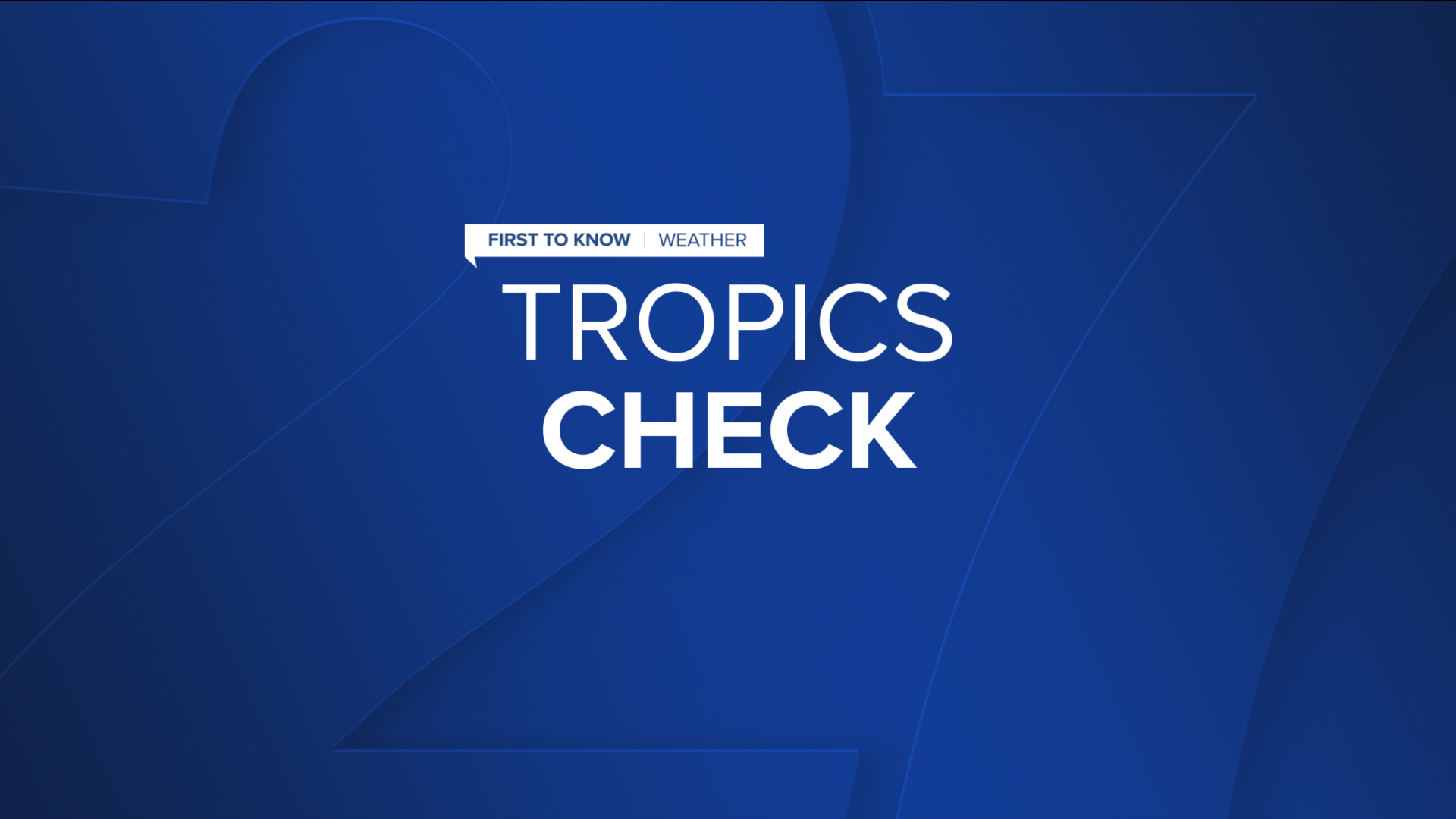 tropics check slate.PNG