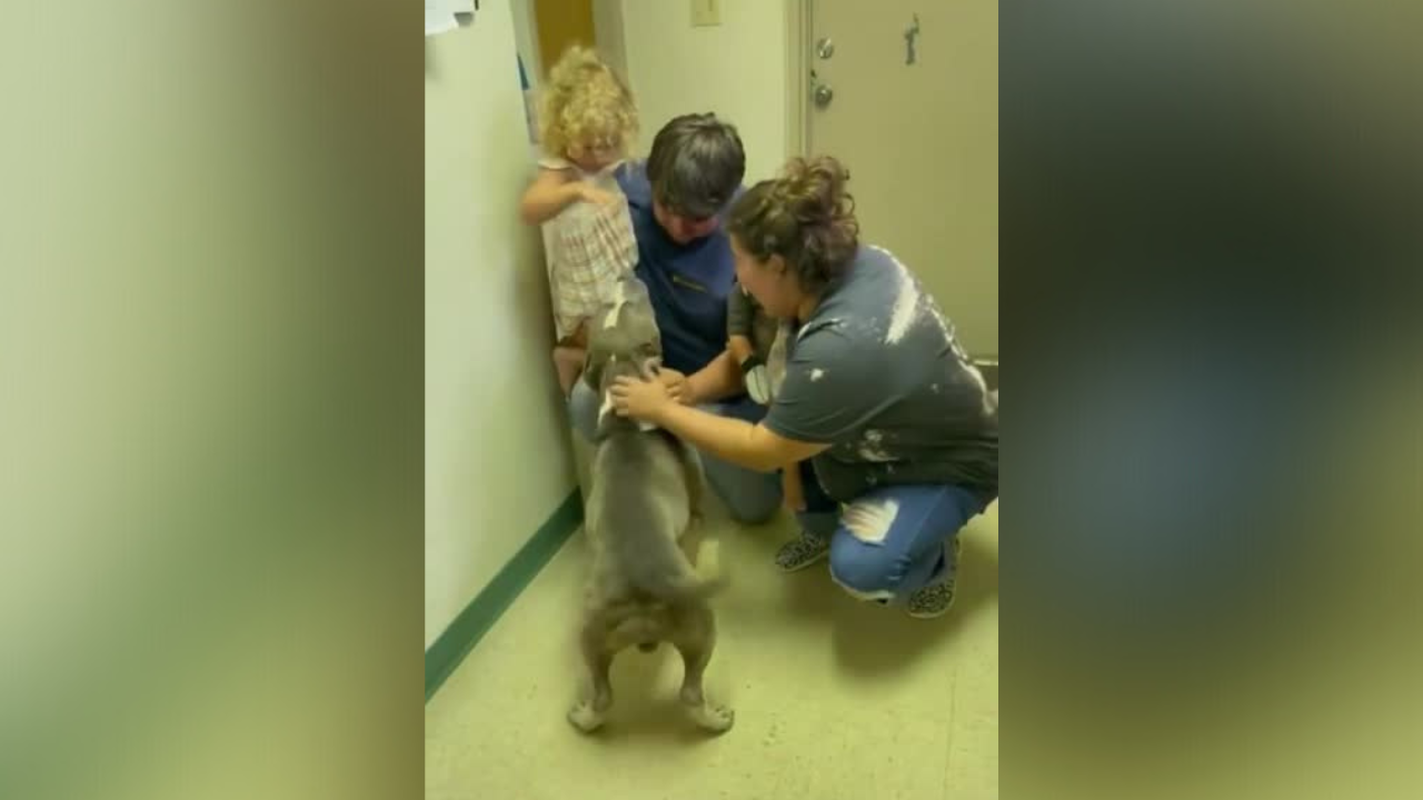 Lost dog reunion Highlands County