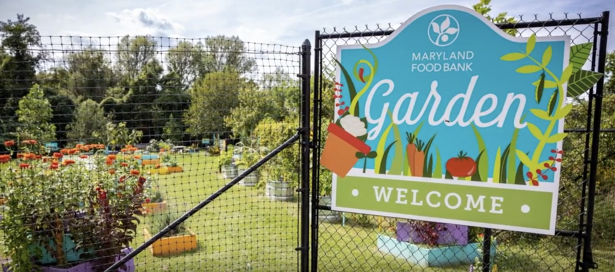 Maryland Food Bank Garden.png
