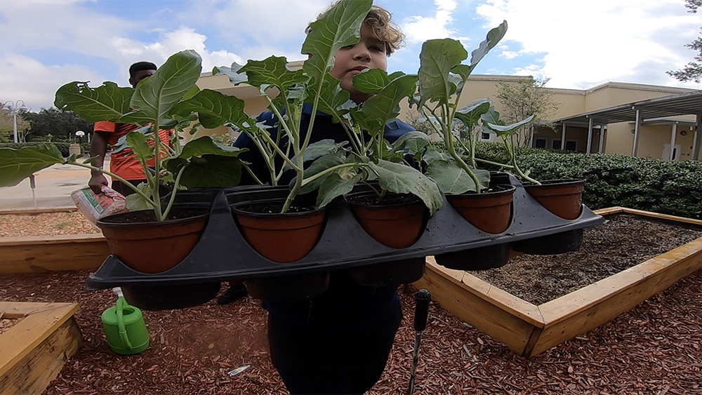 WPTV-WPB-STUDENTS-GARDENING.jpg
