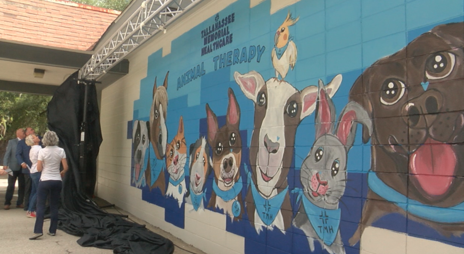 TMH Thearapy mural