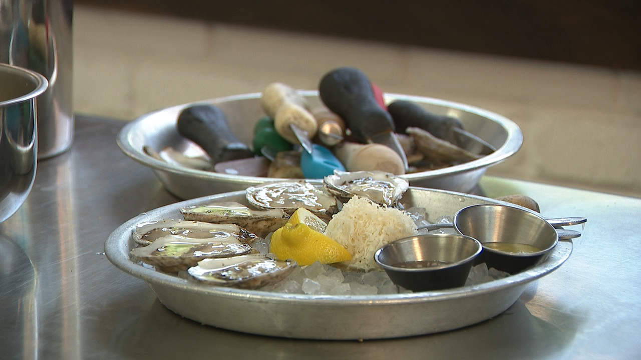 Oyster shucking champion