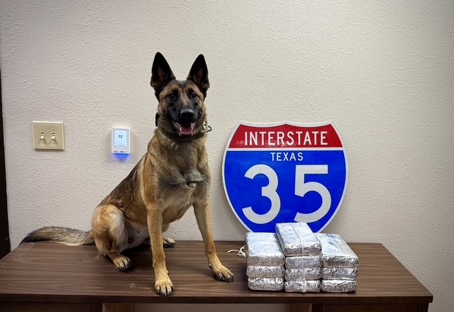 K-9 Karma Texas DPS 1112.jpg