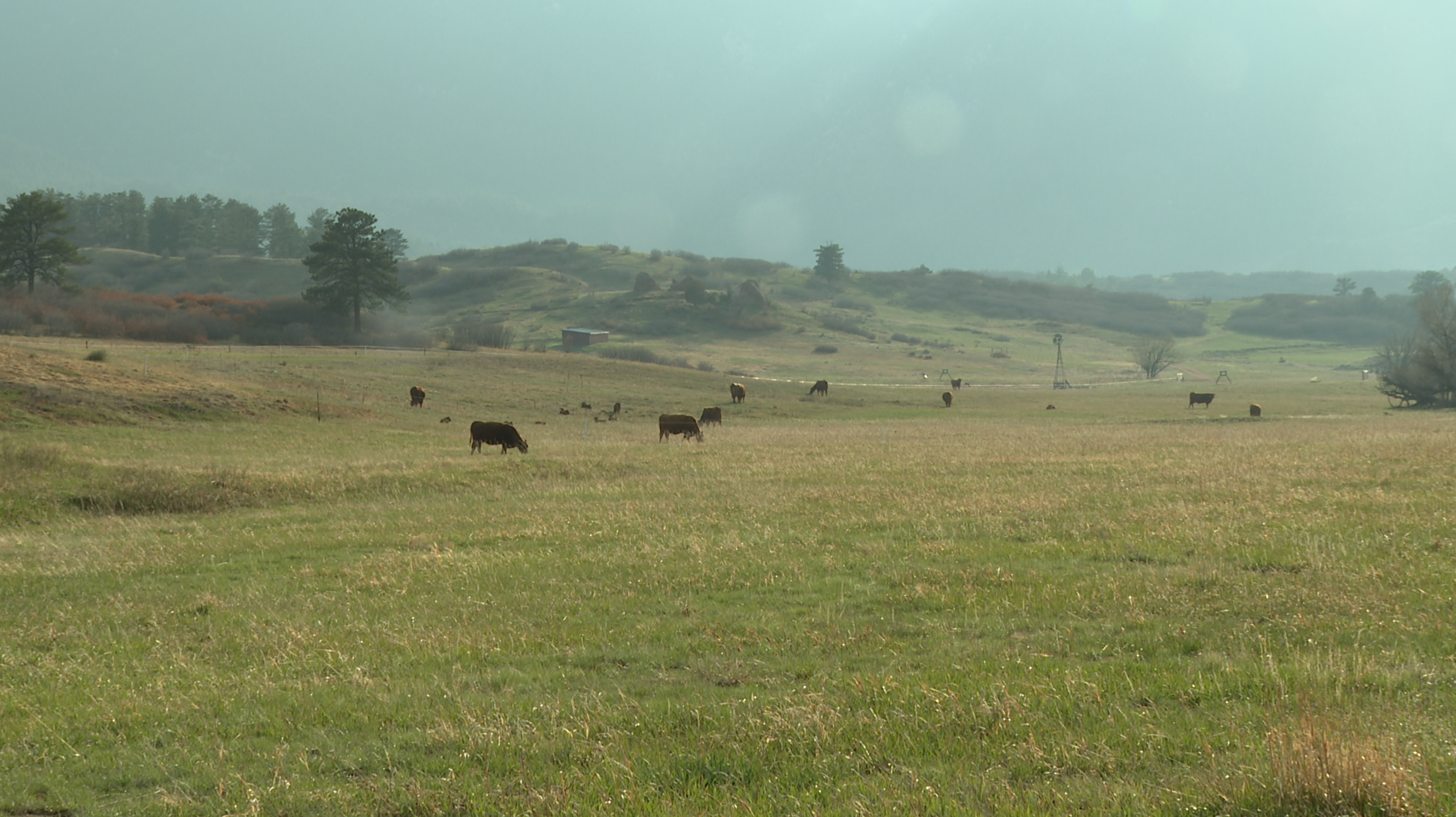 SANDSTONE RANCH.png