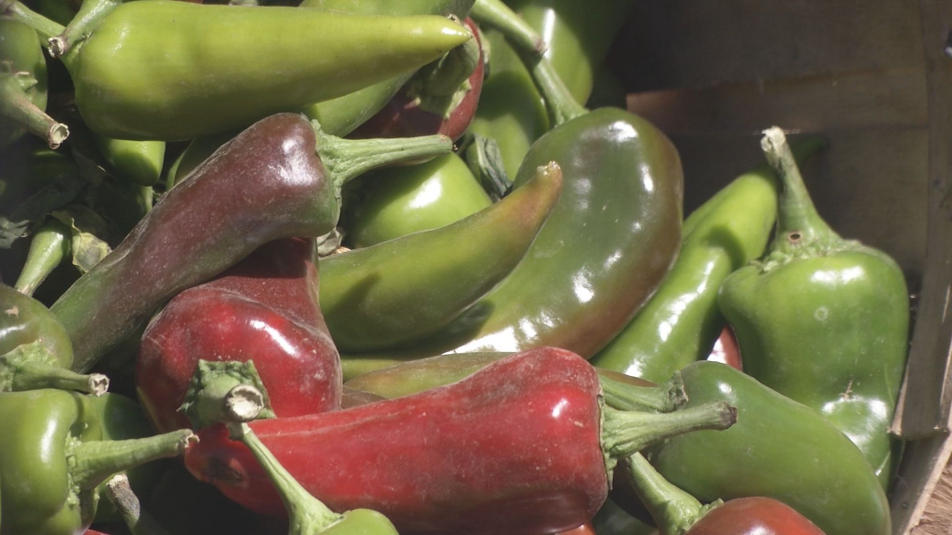 Pueblo Chile
