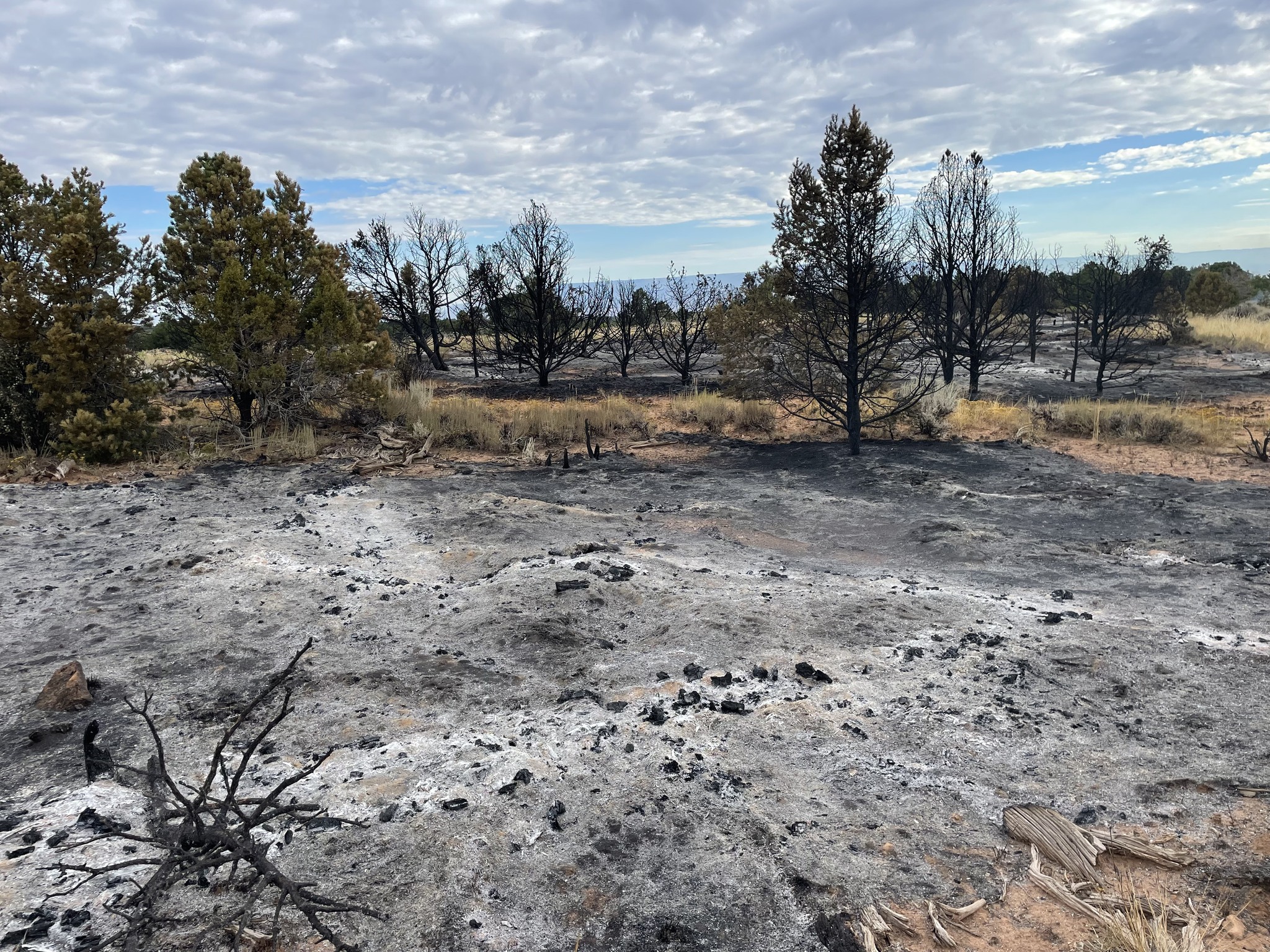 little mesa fire 81823.jpg