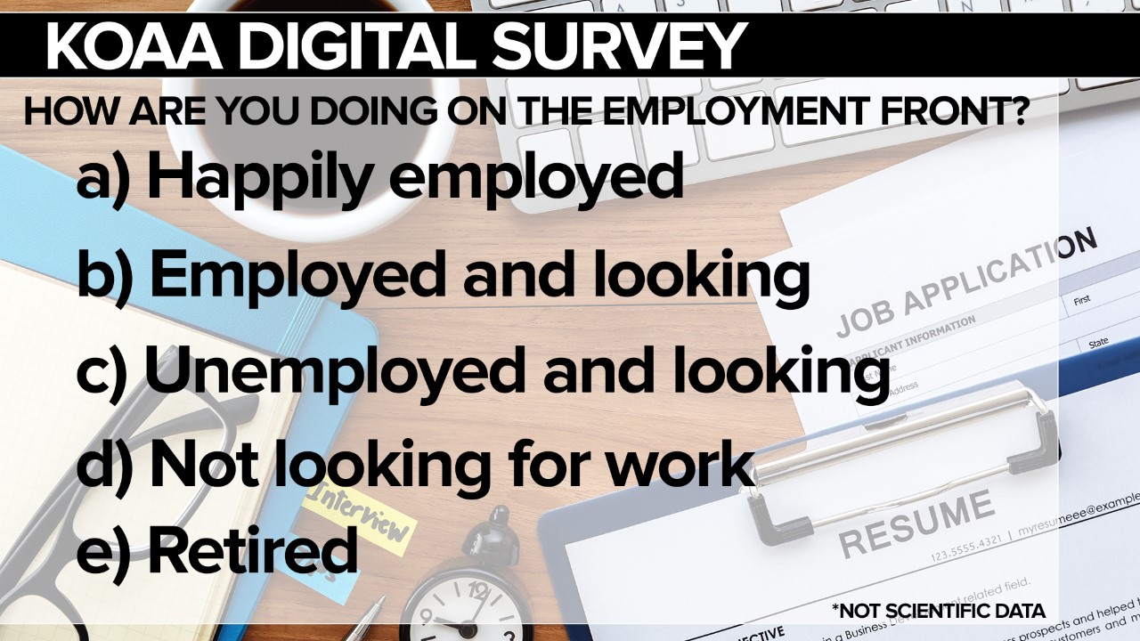 thumbnail_SURVEY Job Front.jpg