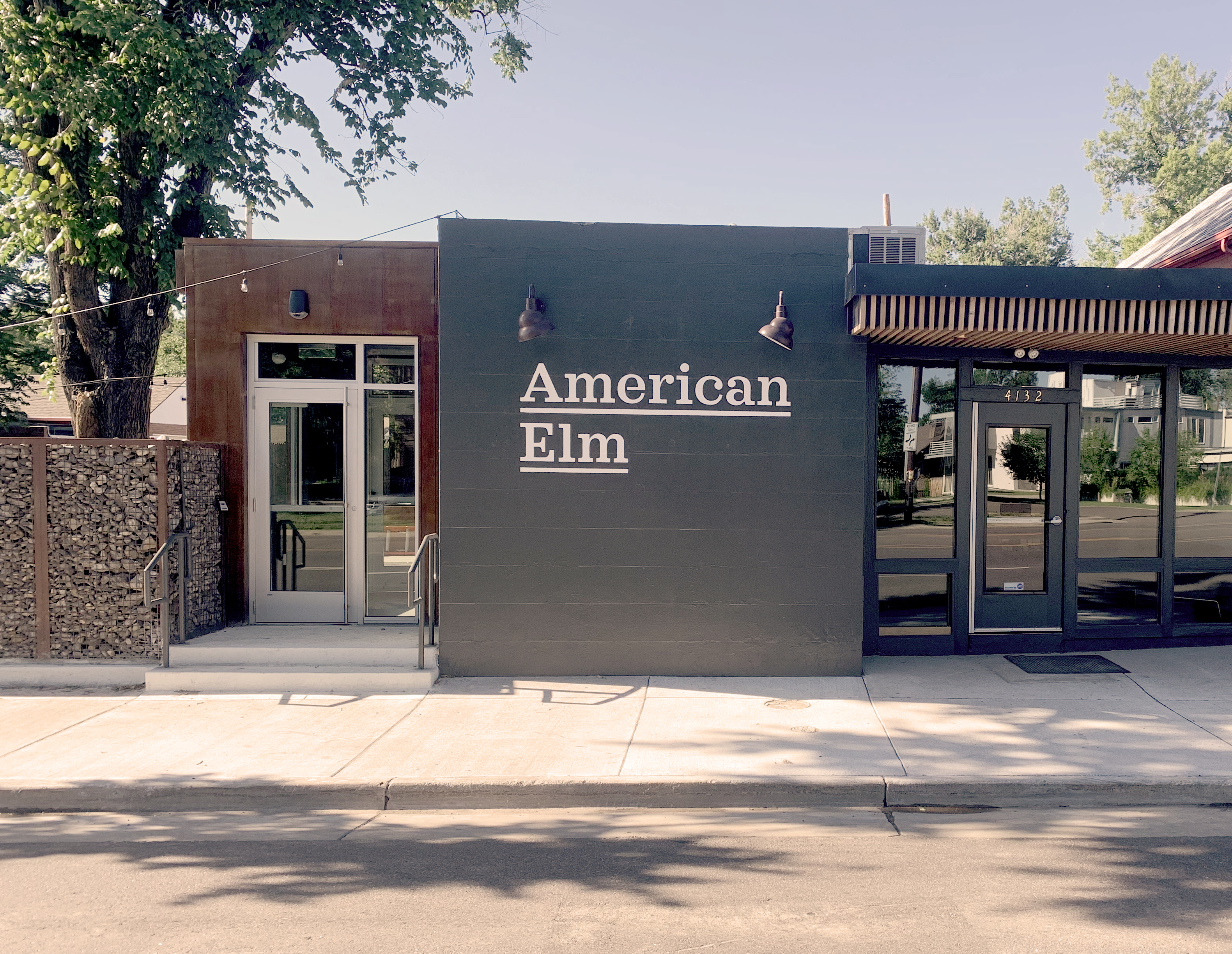 American Elm