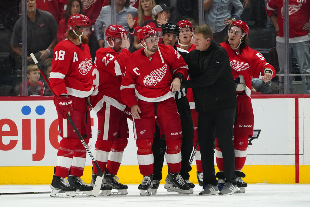 Dylan Larkin punch