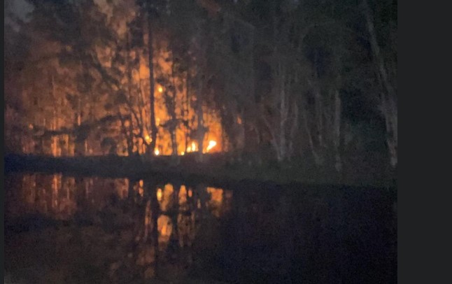 Brush fire in Loxahatchee on June 27, 2023.jpg