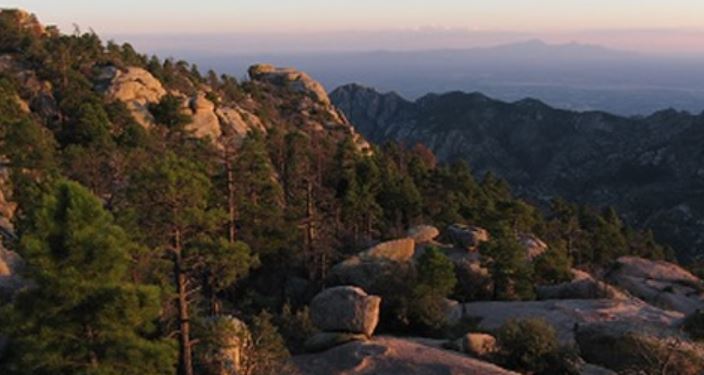 Pusch Ridge Wilderness.JPG