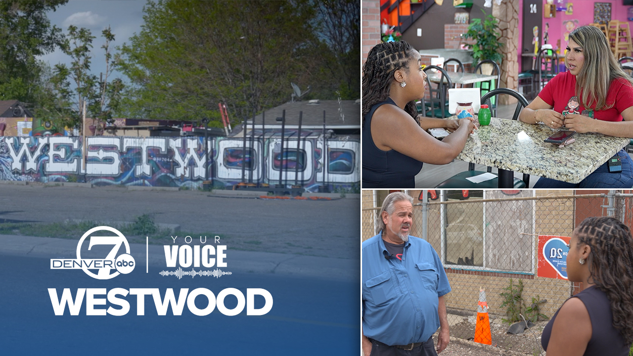 yv westwood folo thumbnail.jpg