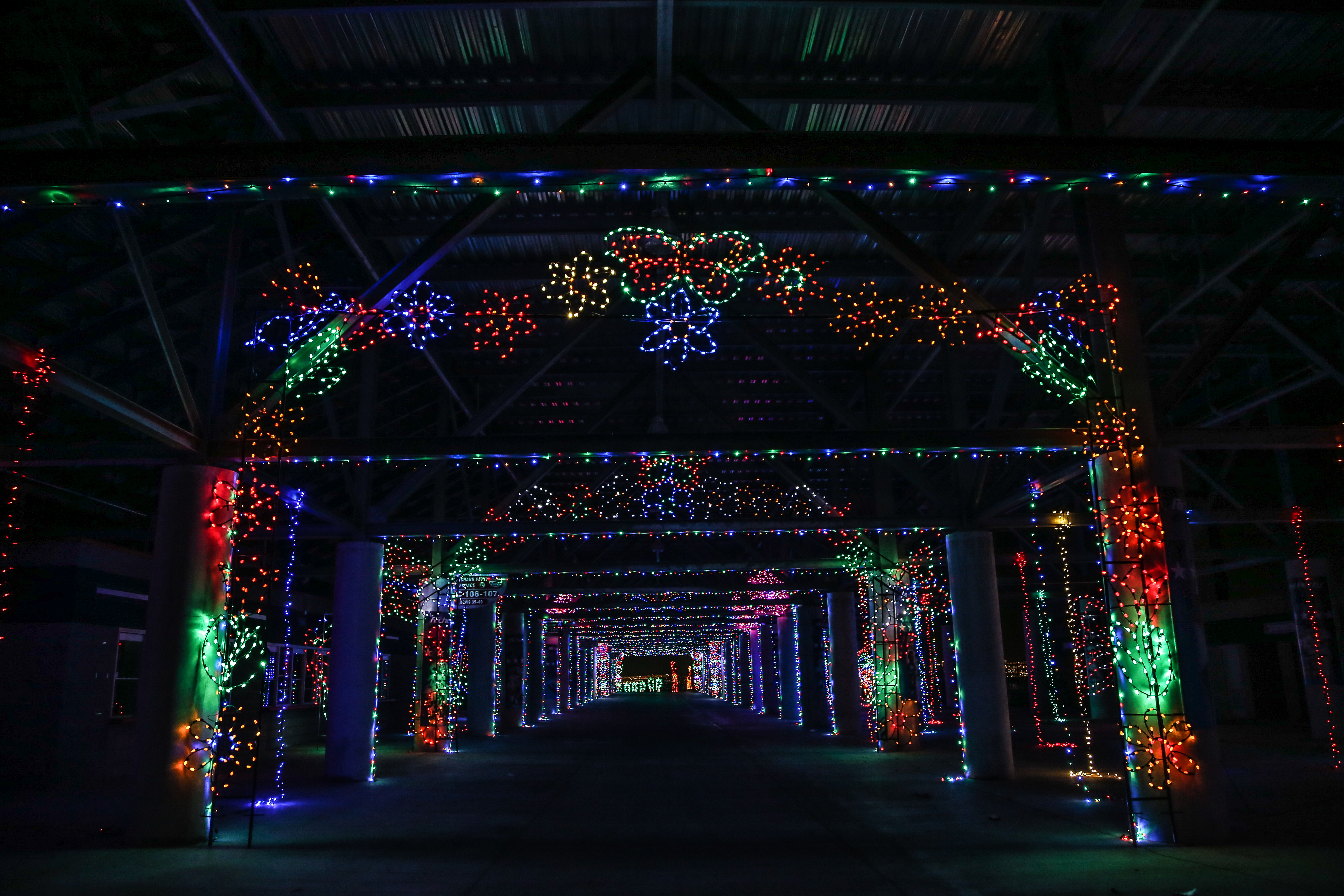 Glittering Lights 2016 BUTTERFLY.jpg