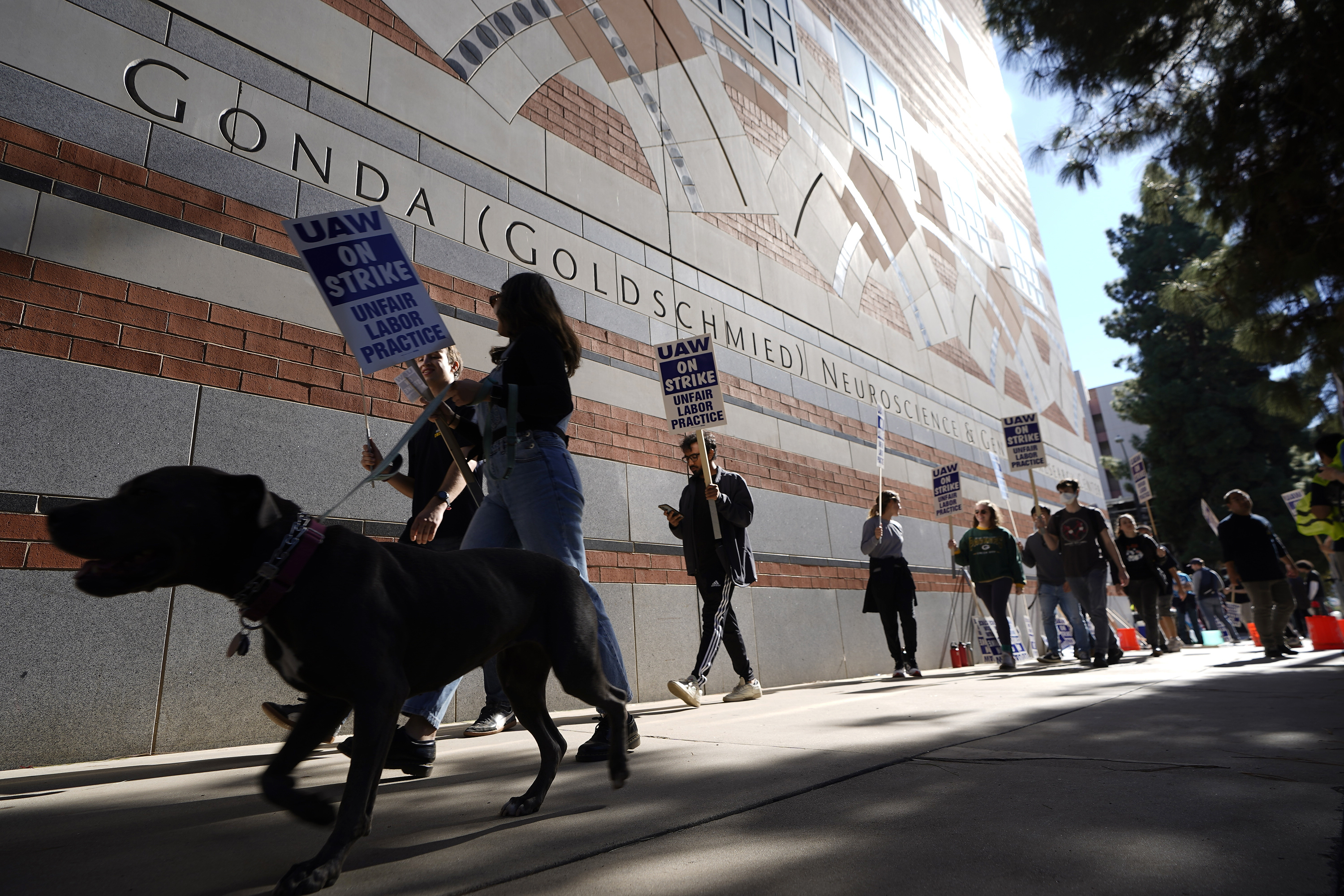 University Of California Strike