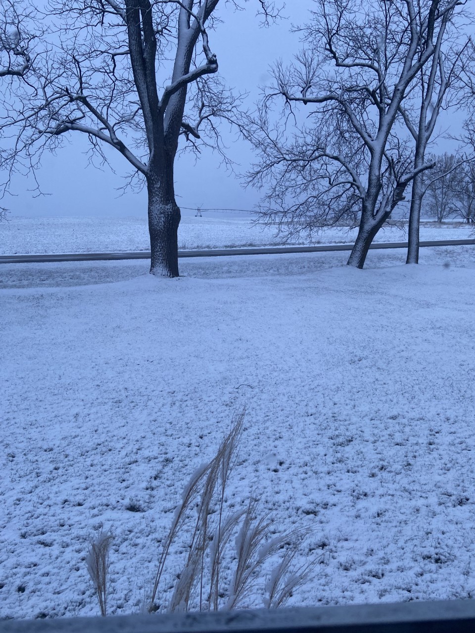 Snow in Hart.jpg
