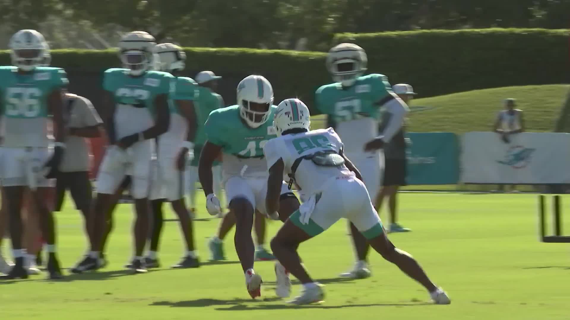 Dolphins Training Camp