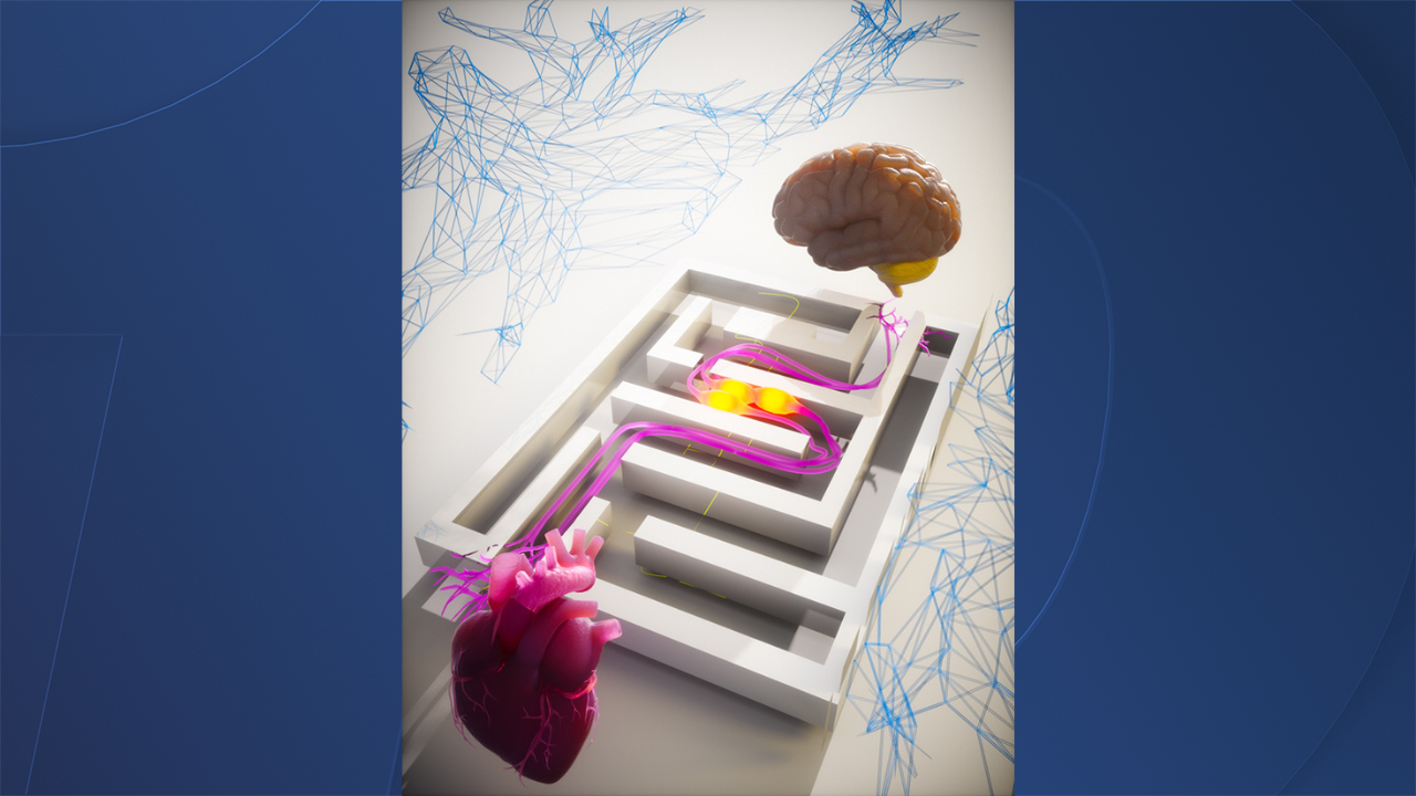 UCSD heart attack study 1/27/2026