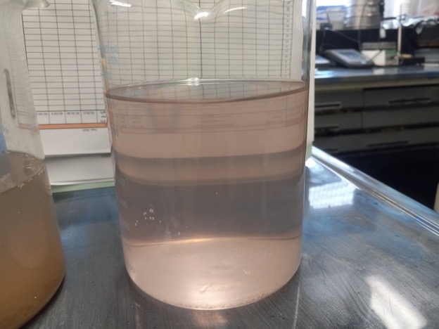 pink water in clear creek