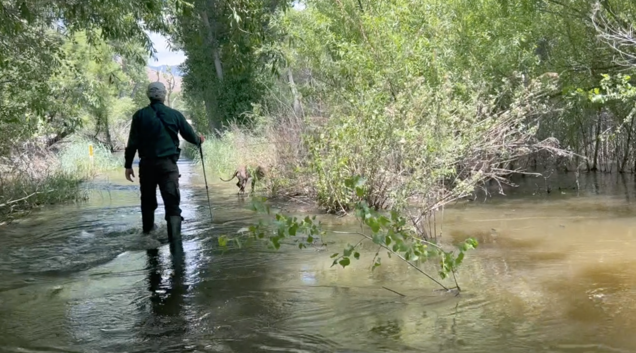 kern river preserve is flooded