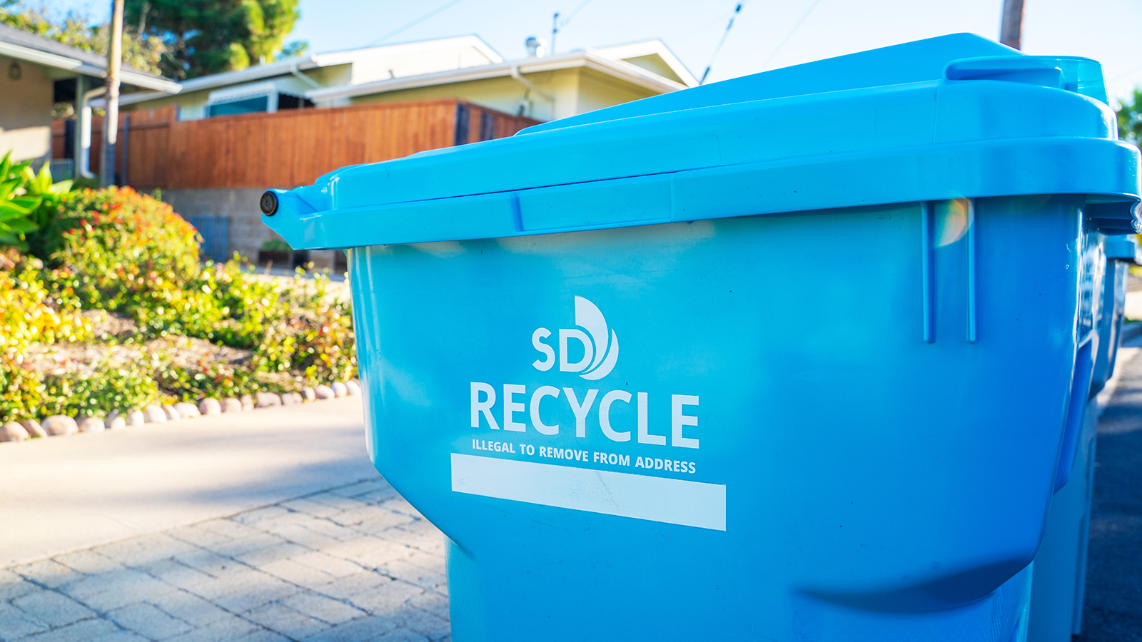 City recycling rollout