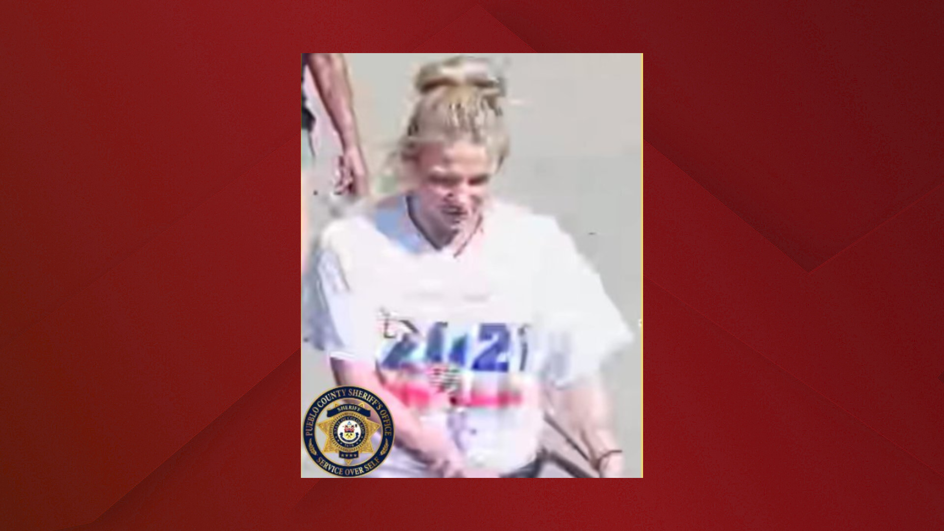Theft Suspect