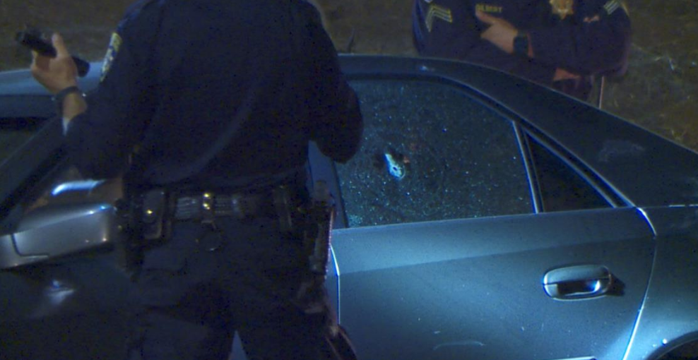 94 Freeway shooting