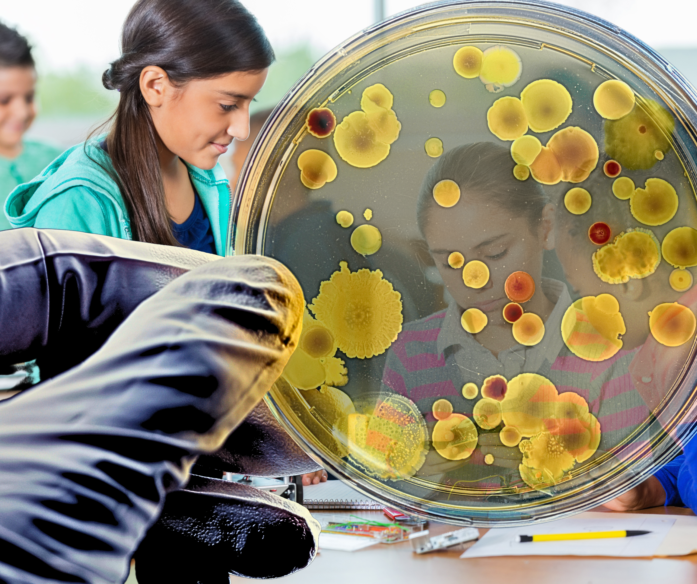 Influenza, elementary, flu, flu shot, germs, school, kids.png