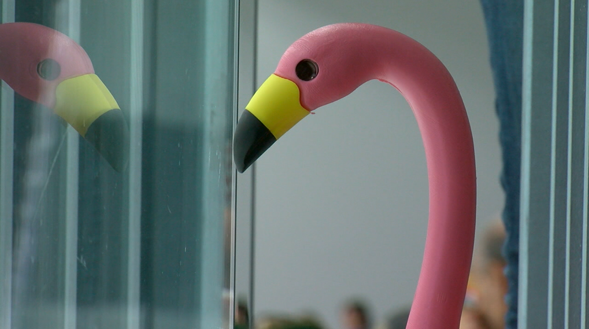 Original victory flamingo thrower reflects on unique VGK tradition