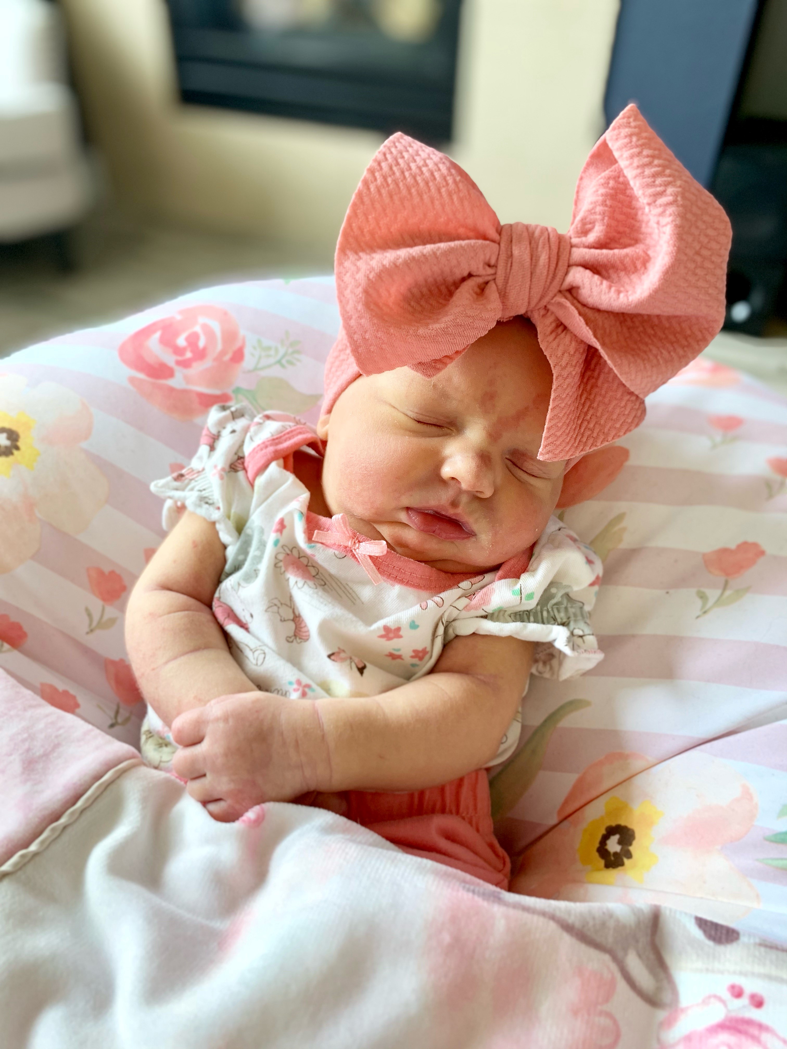 Maddie's Bows.jpg