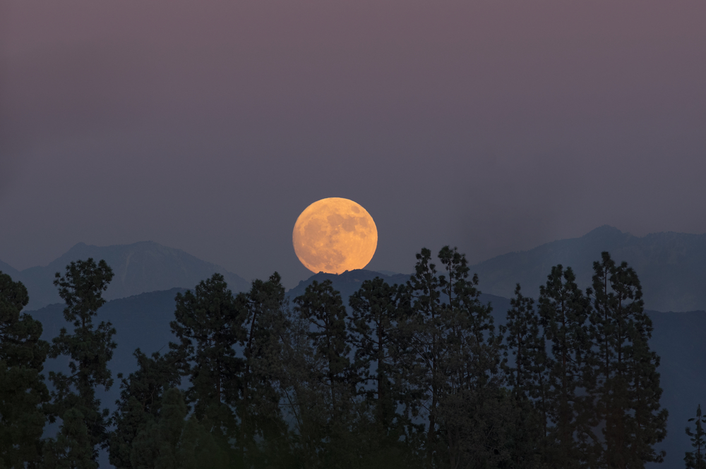 Supermoon,Rising,In,Southern,California.