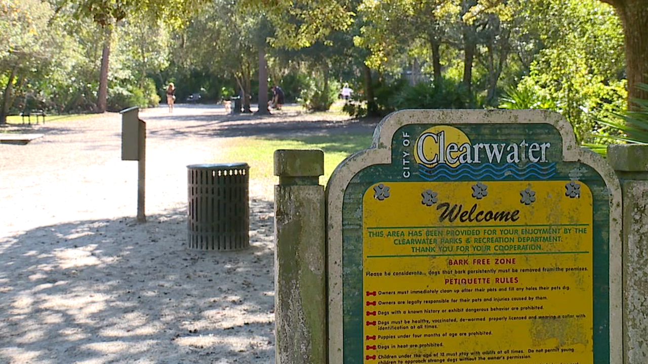 Enterprise-Dog-Park-in-Clearwater-WFTS-HEATHER.png