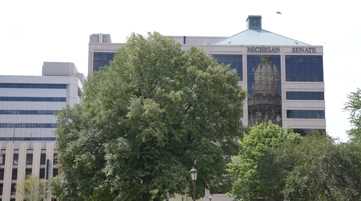 Michigan Senate