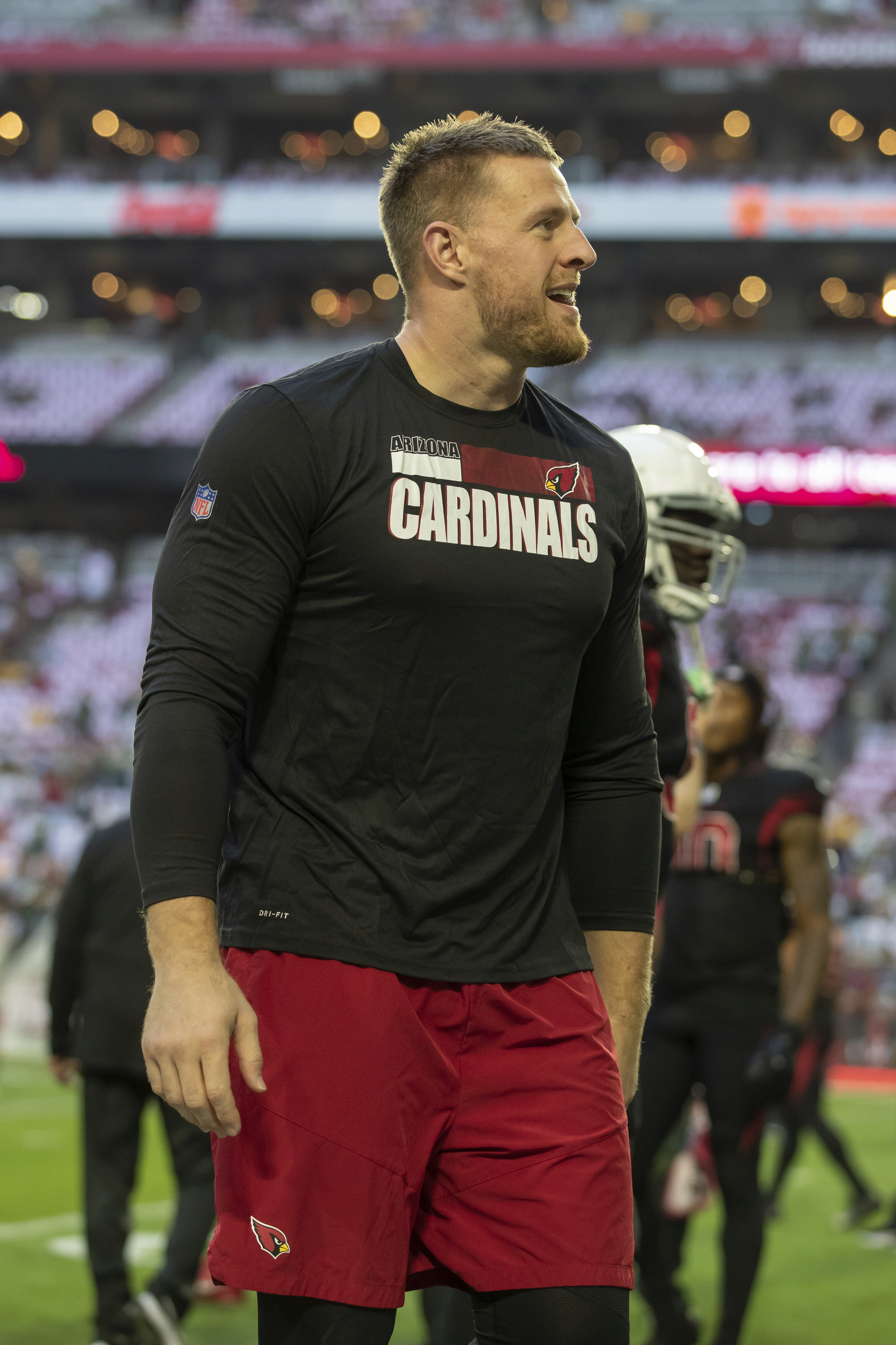 JJ Watt Cardinals