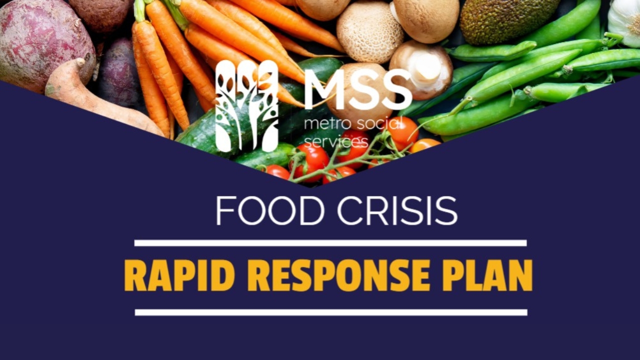 Metro Social Services