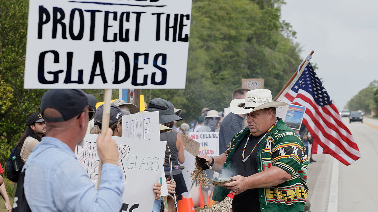 Aligator Alcatraz Protests