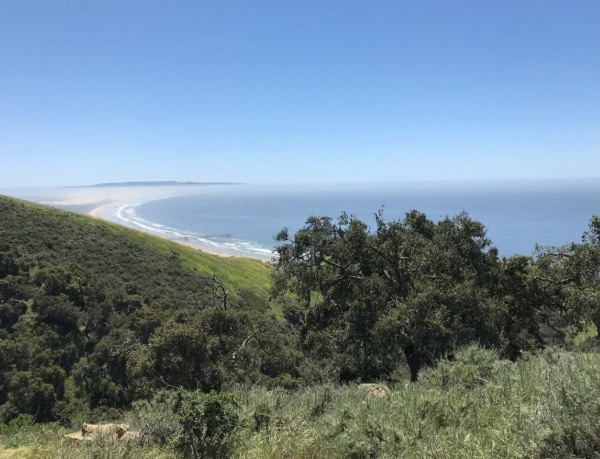 pismo preserve pic.PNG