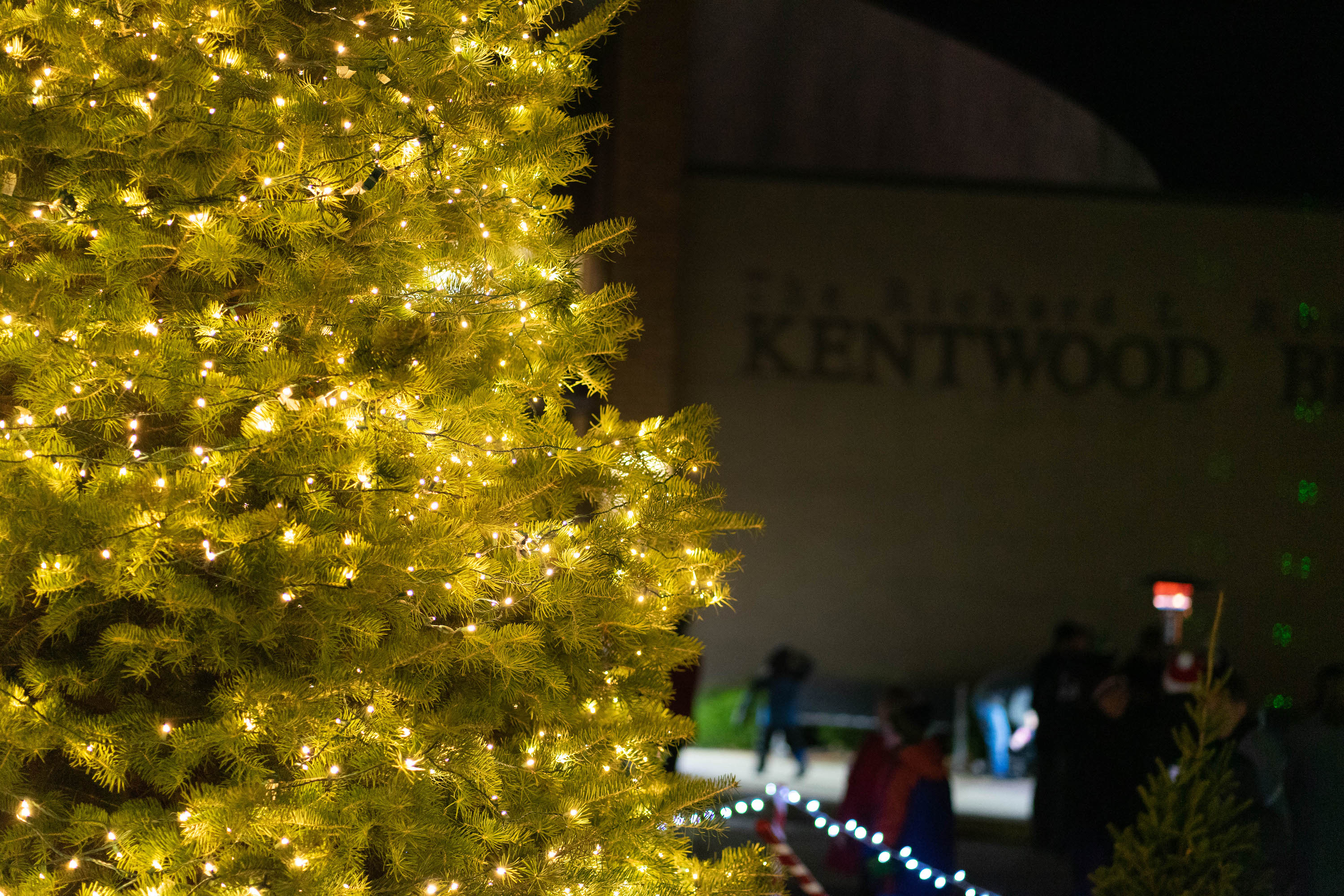 KentwoodTreeLighting.jpg