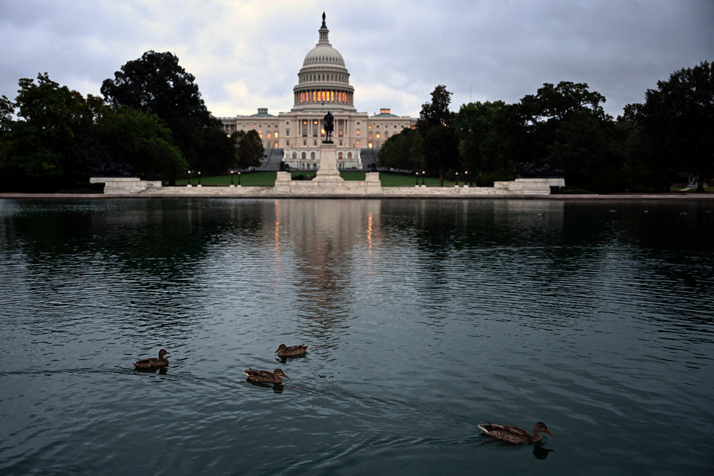 Ducks swim at daybreak in the U.S. Capitol Reflecting Pool during the 8th day of the government shutdown on Wednesday, Oct. 8, 2025, in Washington. 