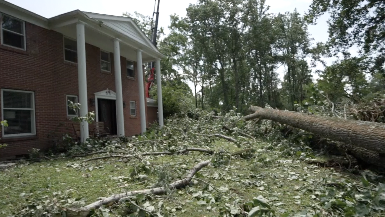 Tree toppled in front of a Pierce Township home