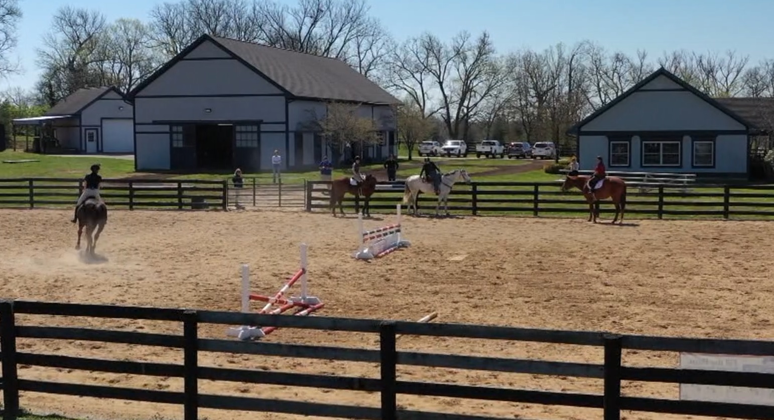 Horsesss.jpg
