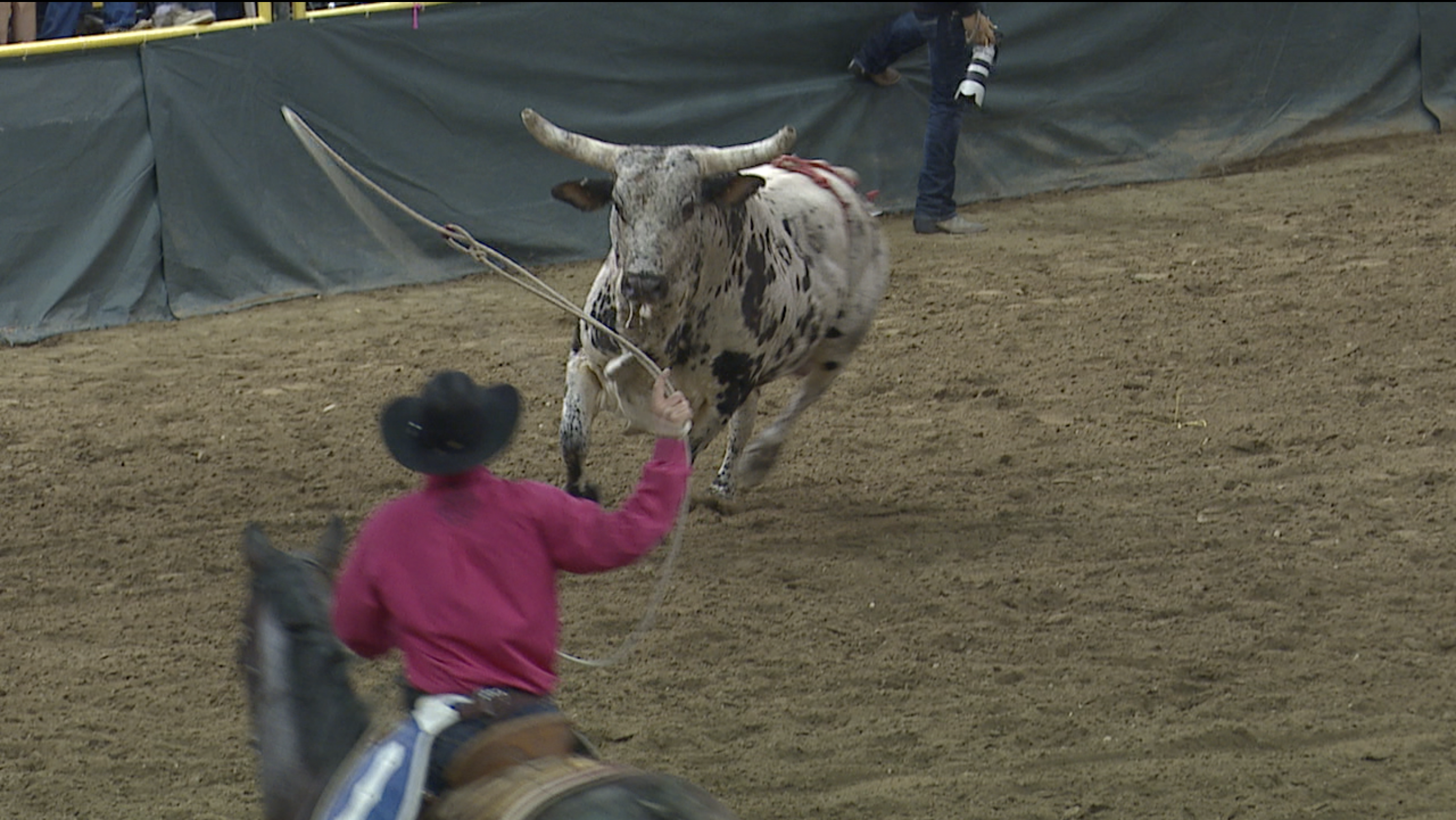 Snake River Stampede