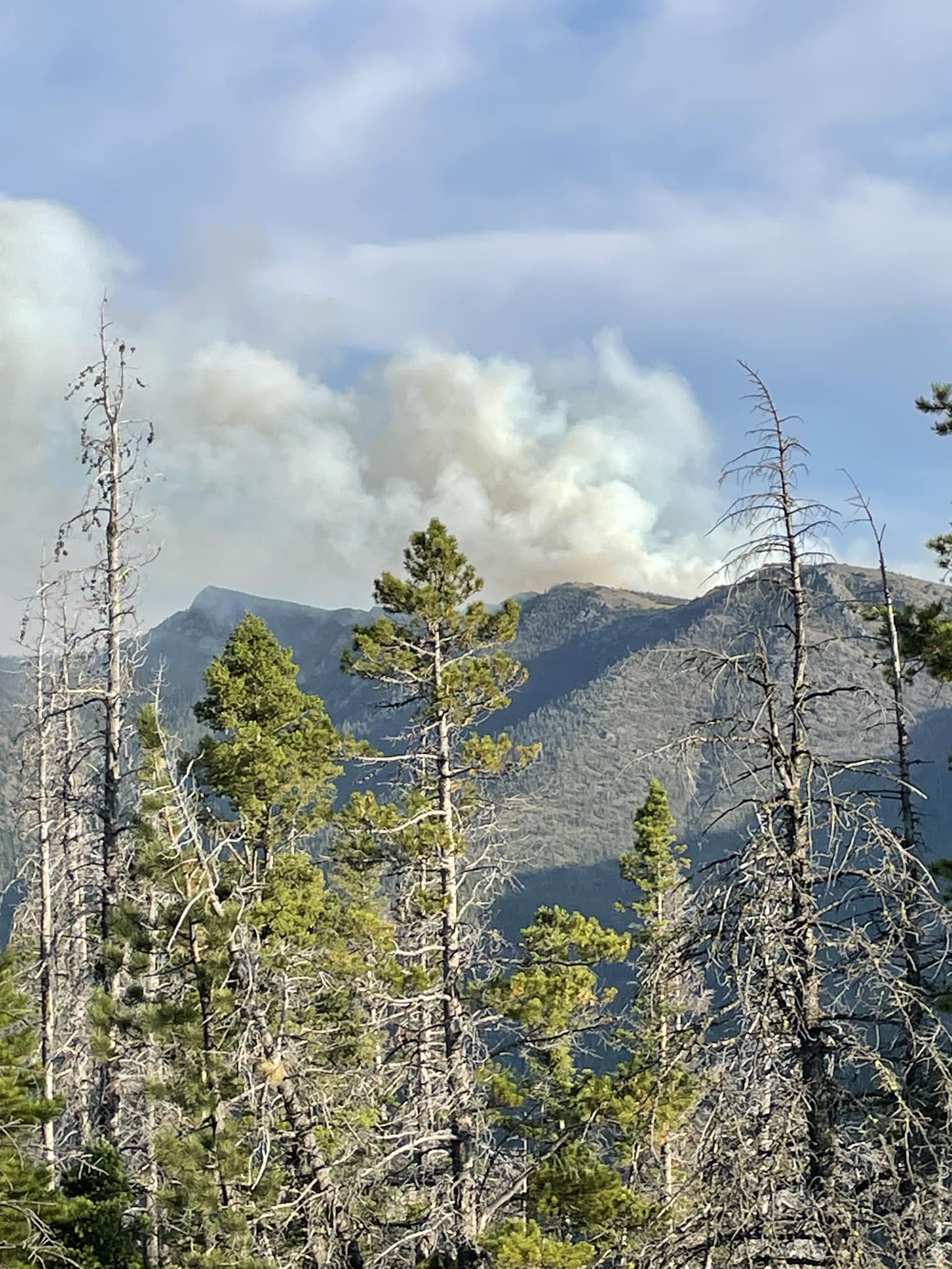08012023 rogers pass fire